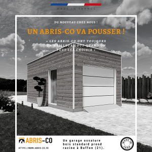 Garage ossature bois standard