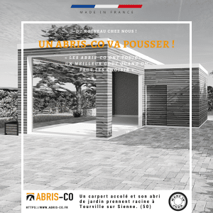 carport accolé article