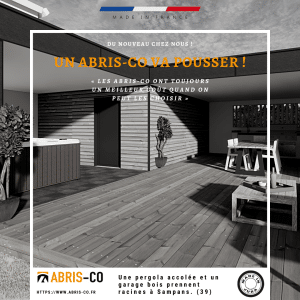 pergola accolée et son garage