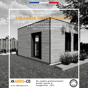 studio professionnel article