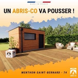 Abri de jardin bois article